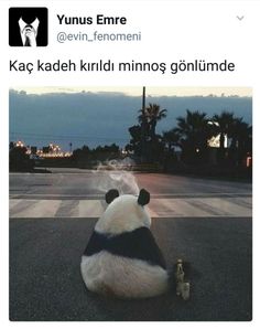 a panda bear sitting on the ground with its eyes closed and tongue out, in front of an empty street