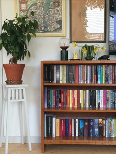 a bookshelf filled with lots of books next to a potted plant