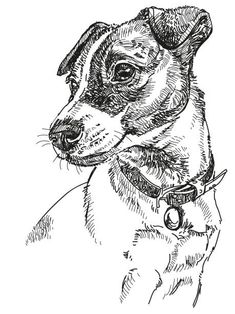 a drawing of a dog's head in black and white