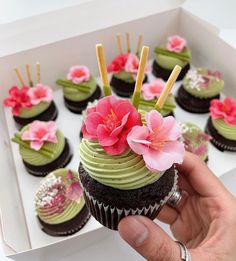 cupcakes decorated with green frosting and pink flowers are being held by a hand