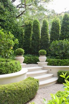 an outdoor garden with steps and bushes