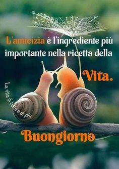 two snails sitting on top of a branch with the caption saying,'i amicia