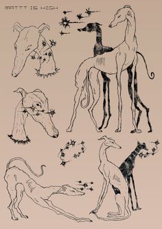 some drawings of horses and other animals