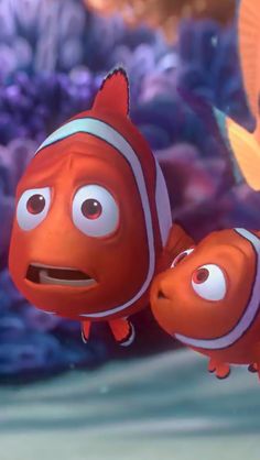 two clown fish in an aquarium looking at each other with their mouths open and eyes wide open