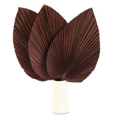 PRICES MAY VARY. PACKAGE: Each bouquet comes with 3 PCS dried brown palm tree leaves and the size of palm leaf is about 10"W x 17"L. Each dried palm is packaged very well. No need to worry about bent or broken leaves bouque DIY BOHO DECOR: As the ideal gift for the bohemian lover, dried fan palms are perfect decoration for boho living room, house, tropical party, hotel, cafes, shop, wedding, new year, Christmas, bar, festival, evening. You can use them to decorate vases, floral decor, tropical b Palm Spear Bouquet, Palm Table Decor, Palm Frond Floral Arrangement, Dried Palm Leaves Decor Wall, Leaves Decoration Ideas, Office Boho Decor, Tropical Decorations, Dried Wedding Flowers, Palm Leaf Decor