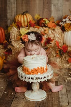 Fall Cake Smash, Cake Ideas For 1st Birthday, Ideas For 1st Birthday, Creative Cake Designs, Fall Baby Pictures, Fall First Birthday, Smash Cake Ideas