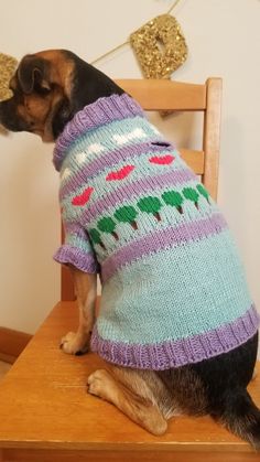 a dog wearing a sweater sitting on top of a wooden chair