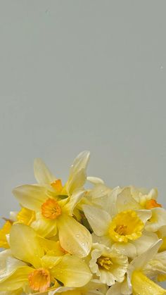 some yellow and white flowers are in a glass vase with water droplets on the petals