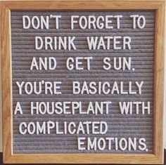 a sign that says don't forget to drink water and get sun, you're basically a houseplant with complicated emotions