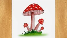 a red mushroom sitting on top of a green field next to a wooden floor with white dots