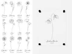 an image of flowers drawn in ink on paper and the same drawing as shown below