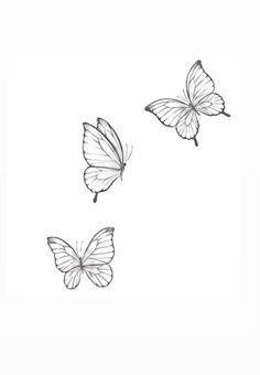 three white butterflies flying in the sky with one being drawn on it's back