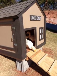 there is a dog house that has been built into the ground