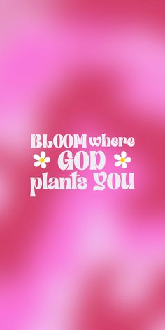 the words bloom where god plants you are