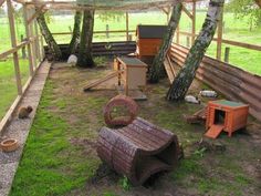 an outdoor chicken coop in the middle of a grassy area with trees and other animals