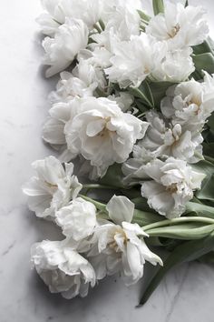 white flowers are laying on a marble surface