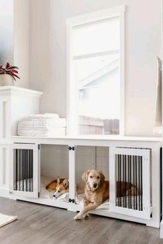 two dogs are laying in their kennels on the floor next to each other