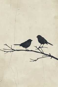 two birds sitting on top of a tree branch next to each other in front of a light colored background