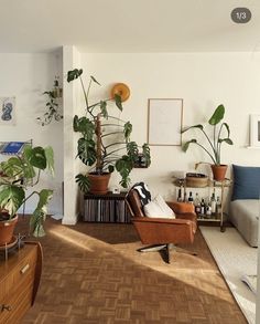 a living room filled with lots of plants next to a couch and coffee table on top of a hard wood floor