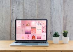 a laptop computer sitting on top of a wooden desk next to a potted plant