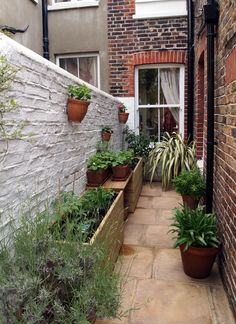 a narrow alleyway with potted plants on either side and brick buildings in the background