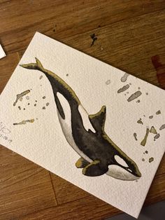 a painting of an orca on a piece of paper