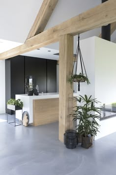 a living room filled with lots of plants next to a white wall and wooden beams