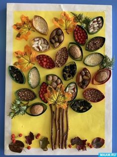 an art project made out of leaves and nuts