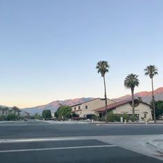 palm trees line the street in front of a building with mountains in the back ground