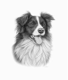 a black and white drawing of a dog with his tongue hanging out to the side