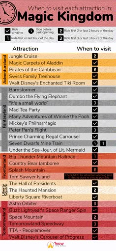 the top ten things to do in magic kingdom info sheet for kids and grown - ups