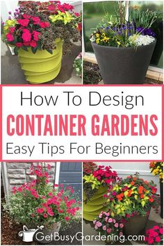 how to design container gardens easy tips for beginners