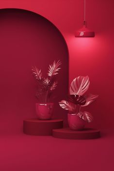 two potted plants sit on pedestals in front of a red wall and lamp