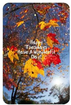 Fall Tuesday Morning Quotes, Tuesday Fall Morning, Happy Tuesday Fall Images, Tuesday Fall Quotes, Good Tuesday Morning Gif, November Greetings, Bless Thursday, Happy Tuesday Images, Good Morning Tuesday Images