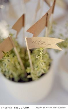 there is a small potted plant with little flags in it