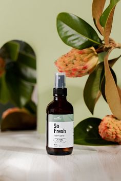 Finally, a product for cleaning the air inside your home, car, or wherever you need some fresh air! So Fresh Room Spray is an organic, all-natural replacement for toxic room sprays. Room Spray With Essential Oils, Organic Room, Fresh Room, Spearmint Essential Oil, Essential Oil Spray, Essential Oil Plants, Room Smells