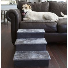 a white dog laying on top of a couch next to stairs in a living room