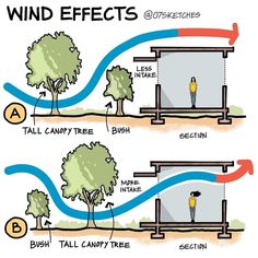 two diagrams showing how wind affects the trees