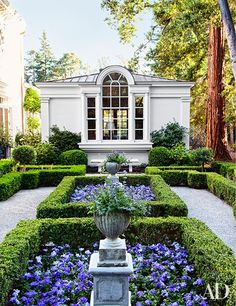 a garden with blue flowers in the center and a white building behind it, surrounded by hedges