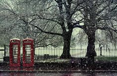 two red phone booths sitting in the snow next to a tree and fence on a snowy day