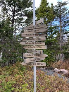 a pole with many signs on it in the woods