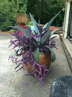 a potted plant with purple flowers sitting on the ground next to a chair outside