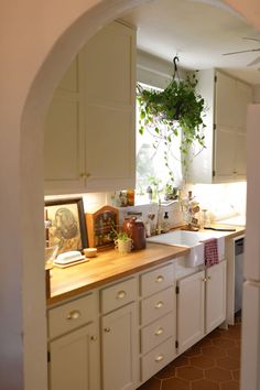 a kitchen with white cabinets and wooden counter tops under a potted plant on the window sill