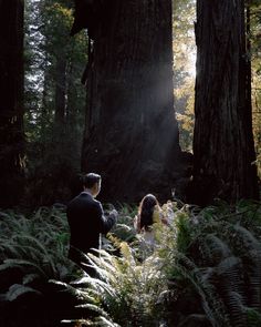 a man and woman standing in the middle of a forest surrounded by tall tree trunks