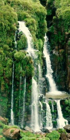 the waterfall is surrounded by lush green vegetation