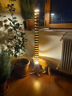 there is a cat that is standing next to a lamp on the floor near some potted plants