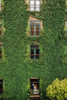 a bride and groom standing in the window of an ivy covered building