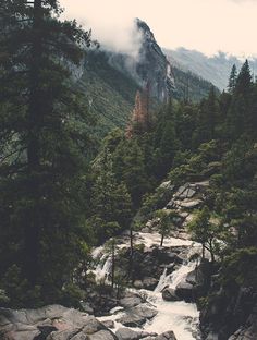 a river running through a forest filled with lots of rocks and trees on top of a mountain