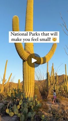 23K views · 3.3K reactions | 🤯 Send this to a National Park lover! 

⬇️ Which one would you visit first? 

✨ After traveling to over half of the National Parks in the United States, there’s certain places that make us feel extra small when standing amongst the massive landscapes. These are at the top of our list! 

✈️ Follow along for all your National Park tips & itineraries @thenationalparktravelers 

#nationalpark #nationalparks #nationalparkgeek #bucketlisttravel #travel | Morgan Dufrene & Connor Ursin | Travel Couple Arizona Vacation, Visit Arizona, Arizona Hiking, State Of Arizona, At The Top, Travel Couple, Travel Bucket List, Travel Usa, The National