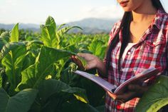 a woman standing in a field holding a book and looking at the leaves on her plant